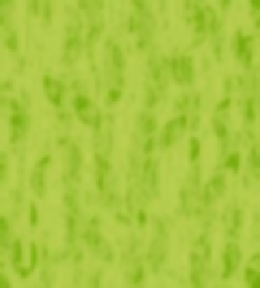 wp0c160558_0f.jpg