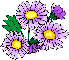 wp21f3c96b.gif