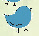 wp5135c4b2_0f.jpg