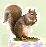 wp6b9de219_0f.jpg