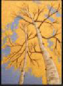 wp70027d51_0f.jpg