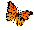wp97479278.png