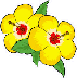 wpe9235e0a.gif